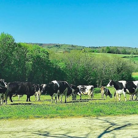 « Le Vieux Hangar » Gite A La Ferme Truffe Bagian luar foto