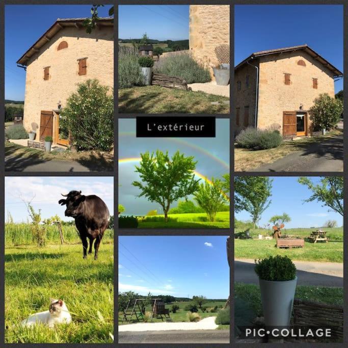 « Le Vieux Hangar » Gite A La Ferme Truffe Bagian luar foto