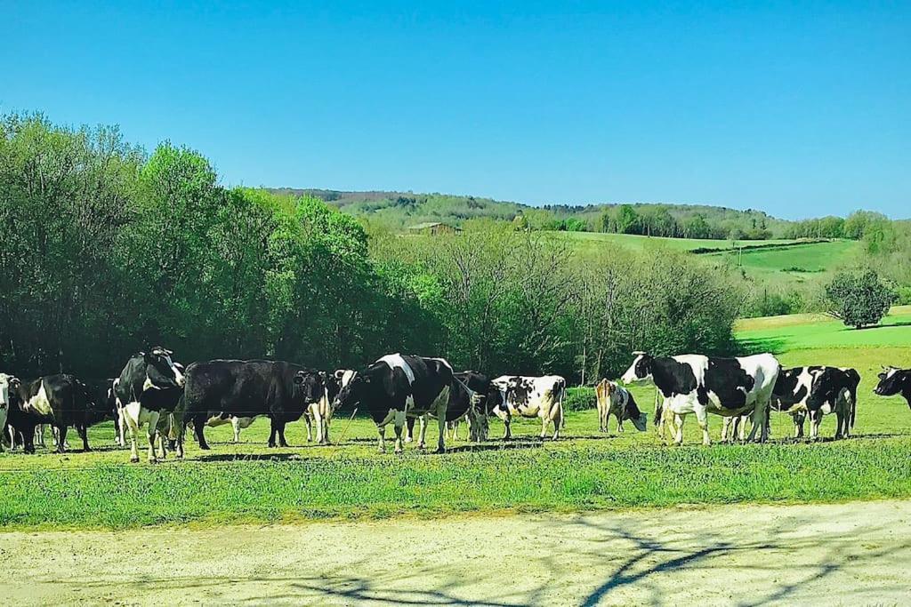 « Le Vieux Hangar » Gite A La Ferme Truffe Bagian luar foto